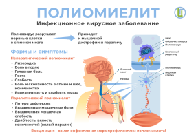 Родитель, помни! Родитель, помни!.